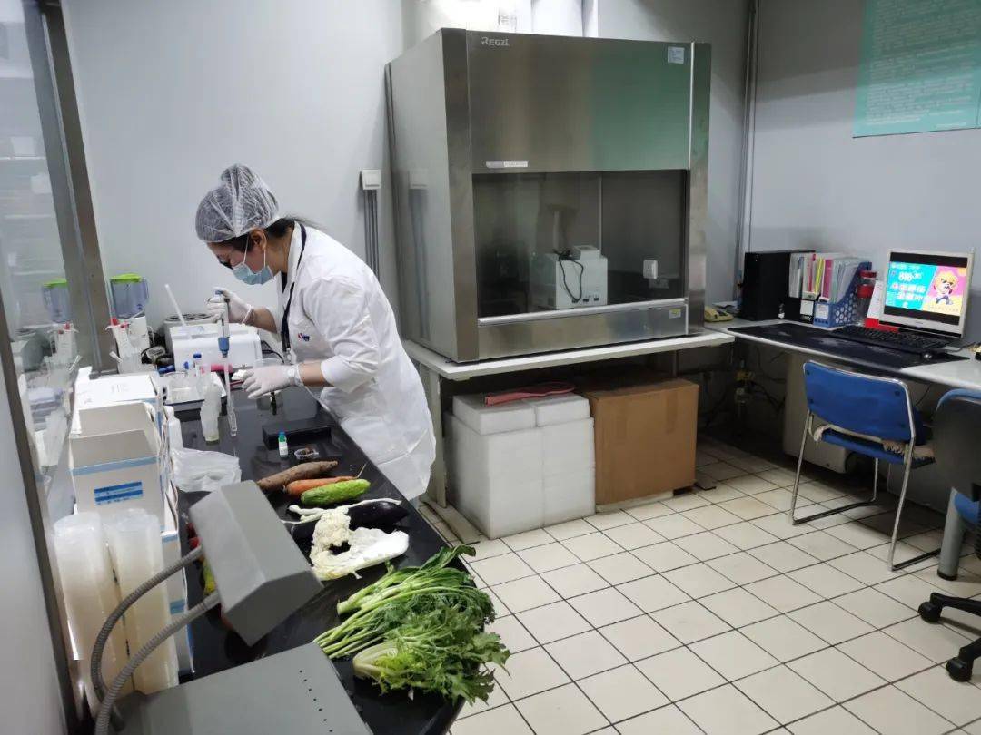 井冈山食品检测实验室装修方案